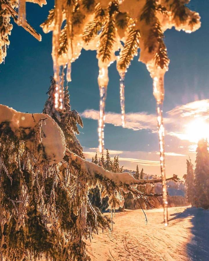 Sans Lux Apartman N42 Milmari Kopaonik Eksteriør bilde